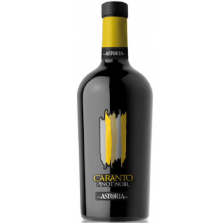 Astoria Pinot Noir Caranto IGT Vini