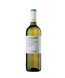 Cembra Chardonnay Vini