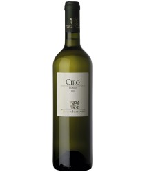 Iuzzolini Cirò bianco Vini