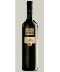 Montesole CAMPANIA  FIANO I.G.T. Vini